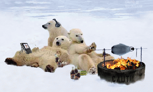 PolarBearsCooking